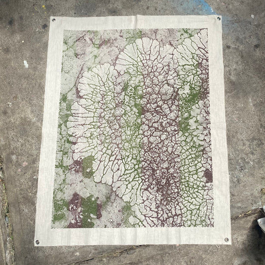 Lichen print