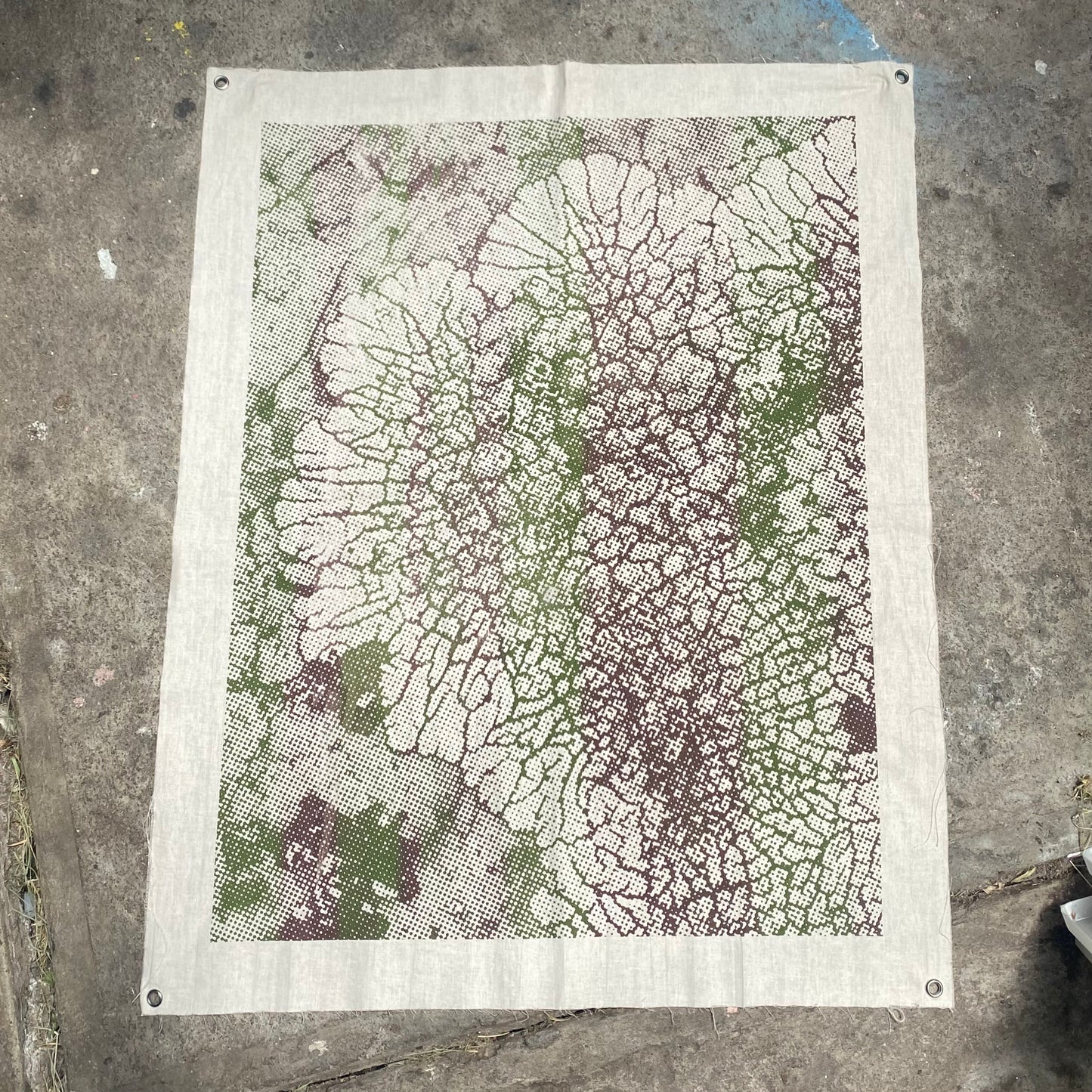 Lichen print